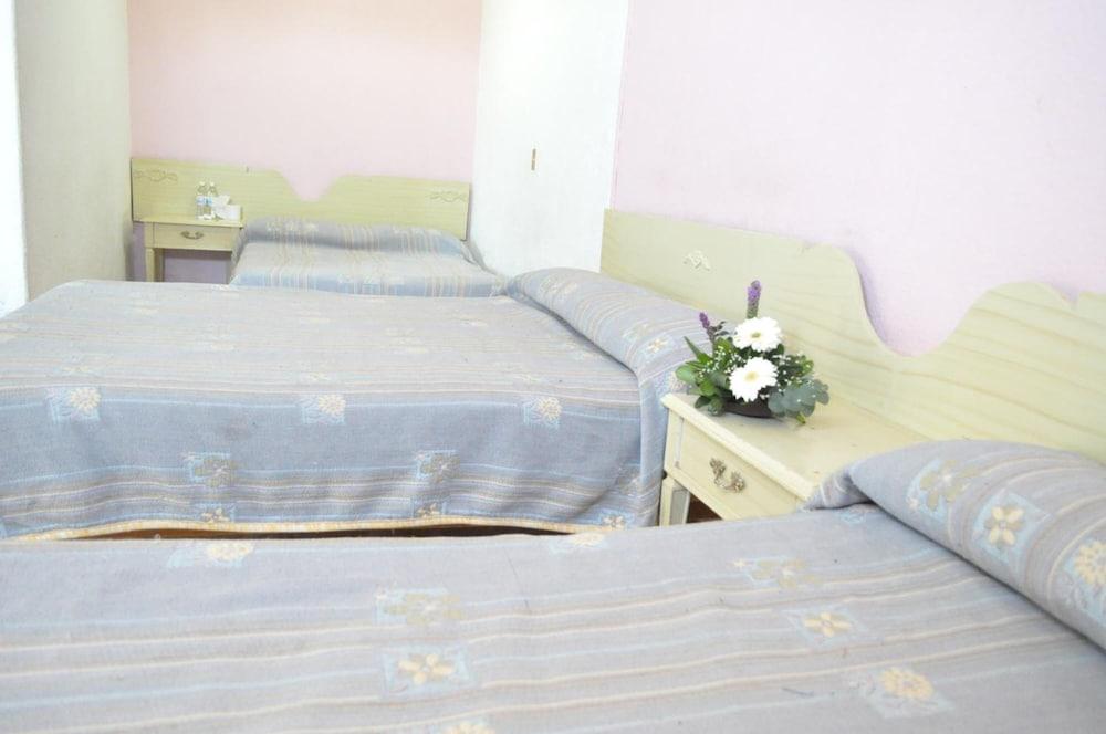 Hotel Viena Irapuato Extérieur photo