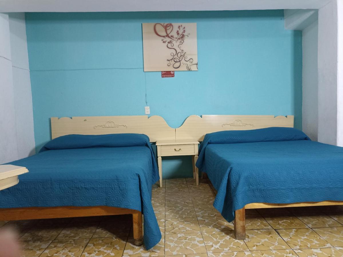 Hotel Viena Irapuato Extérieur photo